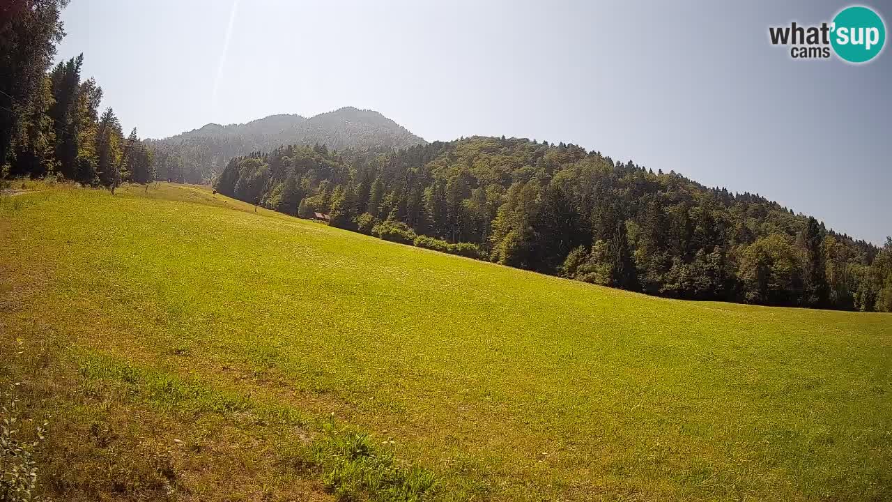 Kranjska Gora SKIJANJE | Brsnina