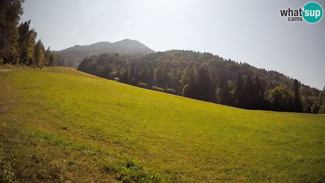 RTC Skigebiet Kranjska Gora | Brsnina