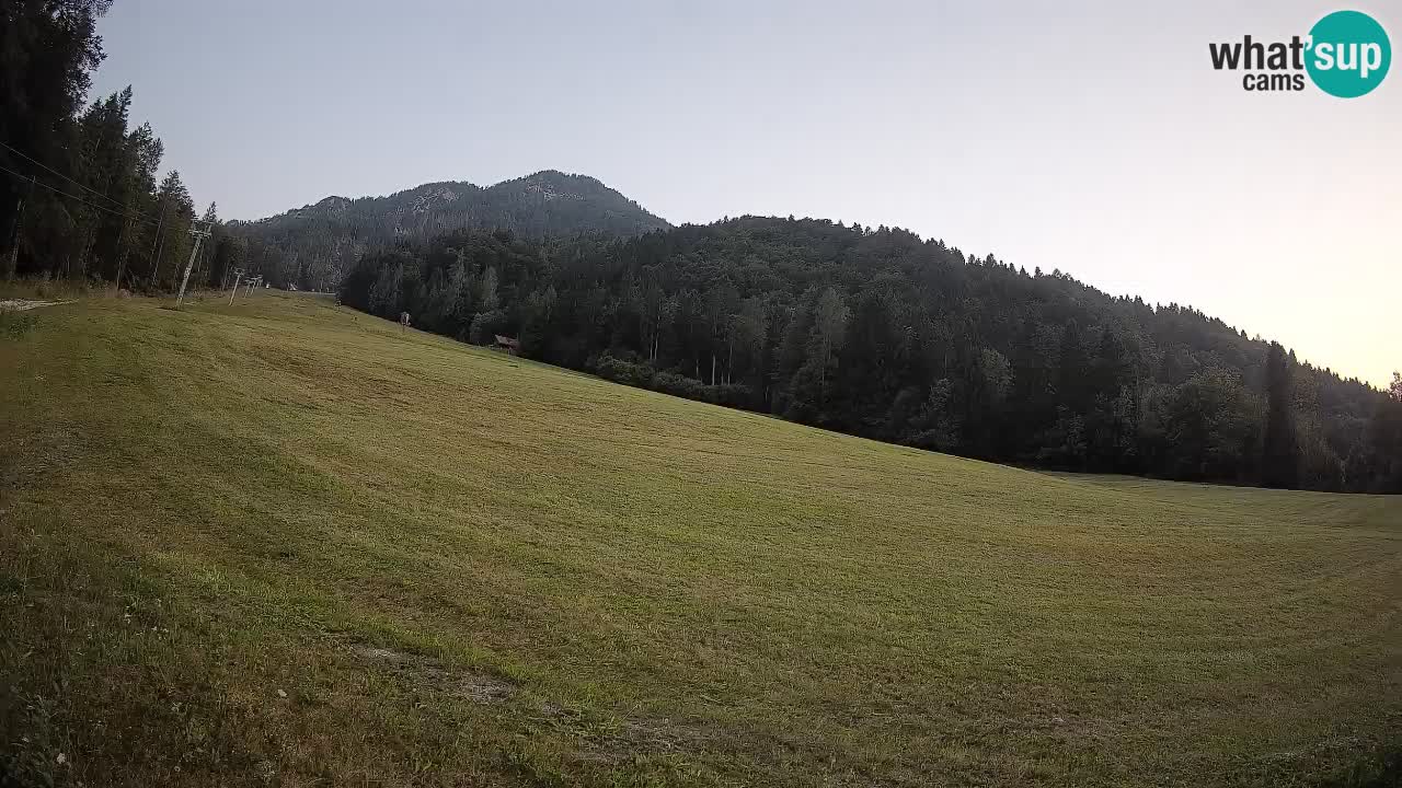 RTC Skigebiet Kranjska Gora | Brsnina