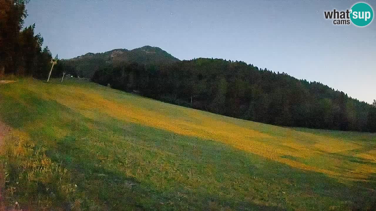 RTC Skigebiet Kranjska Gora | Brsnina