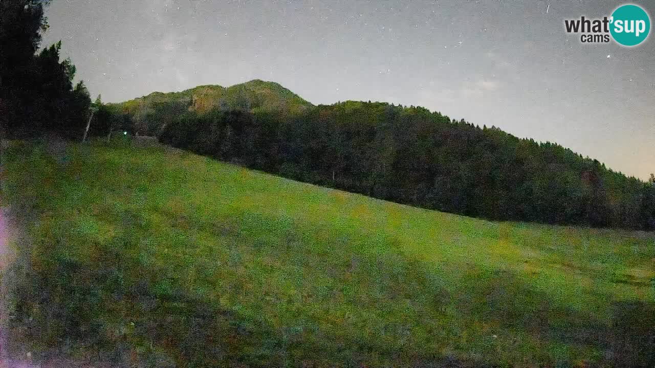 RTC Skigebiet Kranjska Gora | Brsnina