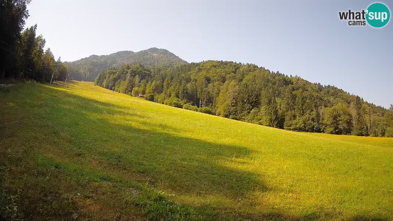 RTC Skigebiet Kranjska Gora | Brsnina