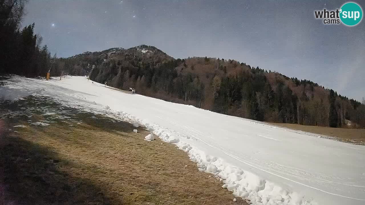 RTC Skigebiet Kranjska Gora | Brsnina