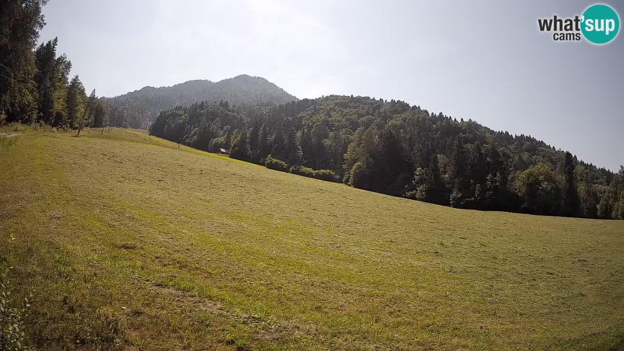 Kranjska Gora Station de ski | Brsnina