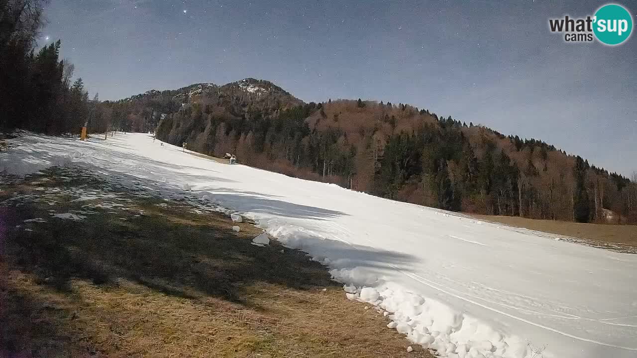 Comprensorio sciistico Kranjska Gora | Brsnina