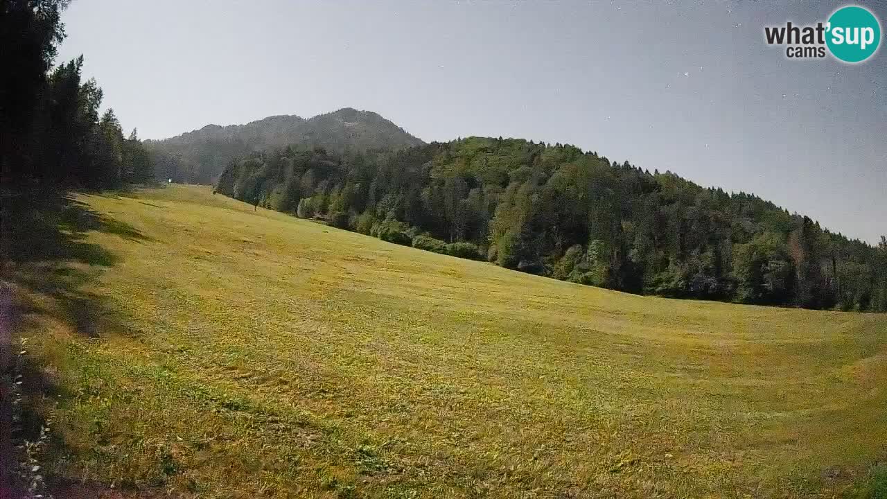 RTC Skigebiet Kranjska Gora | Brsnina