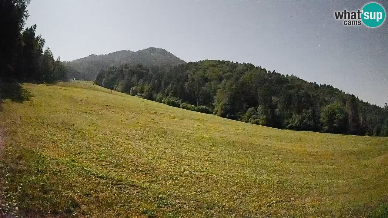 RTC Skigebiet Kranjska Gora | Brsnina