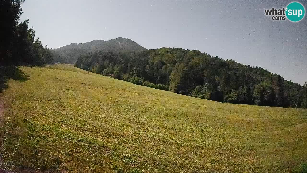 Esquí Kranjska Gora | Brsnina
