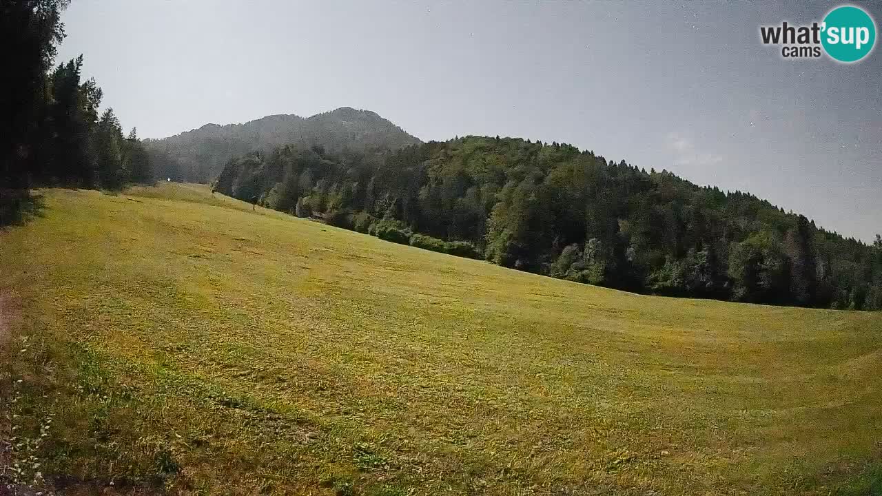 RTC Skigebiet Kranjska Gora | Brsnina
