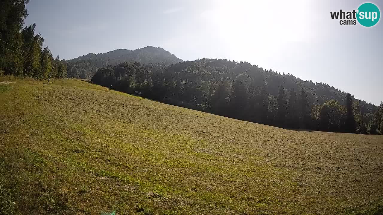 RTC Skigebiet Kranjska Gora | Brsnina