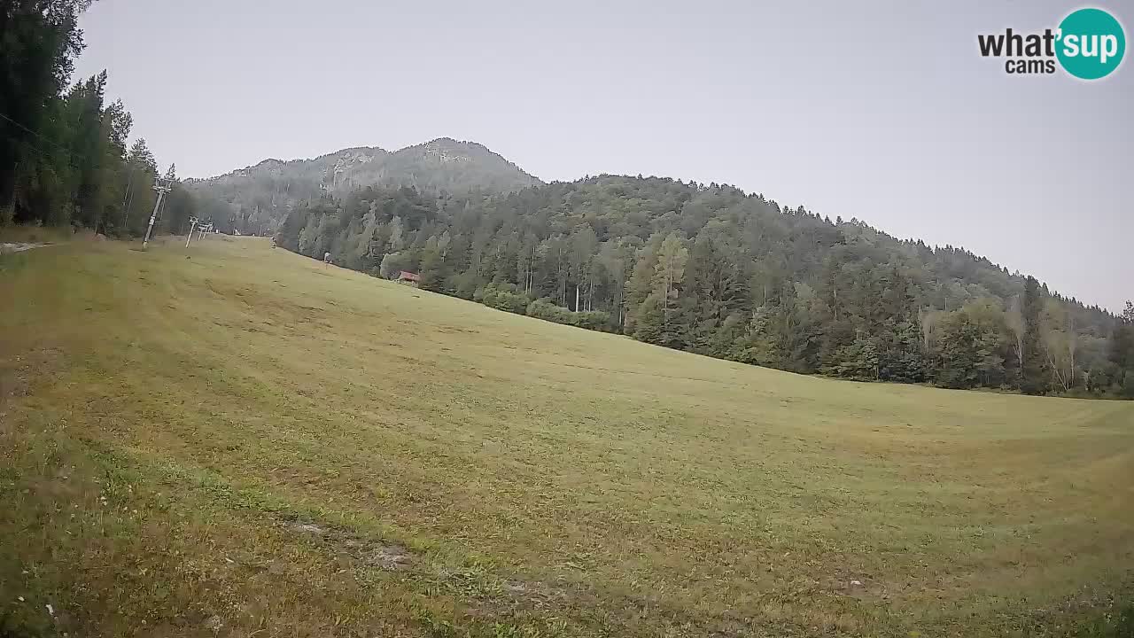 RTC Skigebiet Kranjska Gora | Brsnina