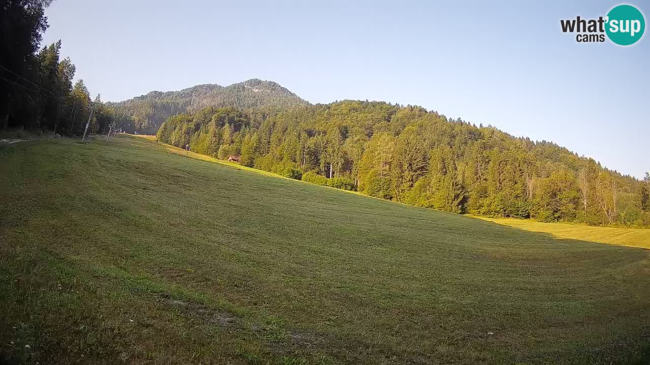 Esquí Kranjska Gora | Brsnina
