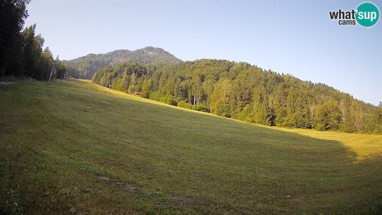 RTC Skigebiet Kranjska Gora | Brsnina