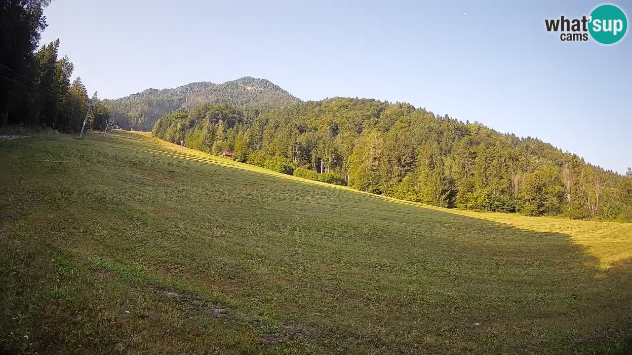 RTC Skigebiet Kranjska Gora | Brsnina