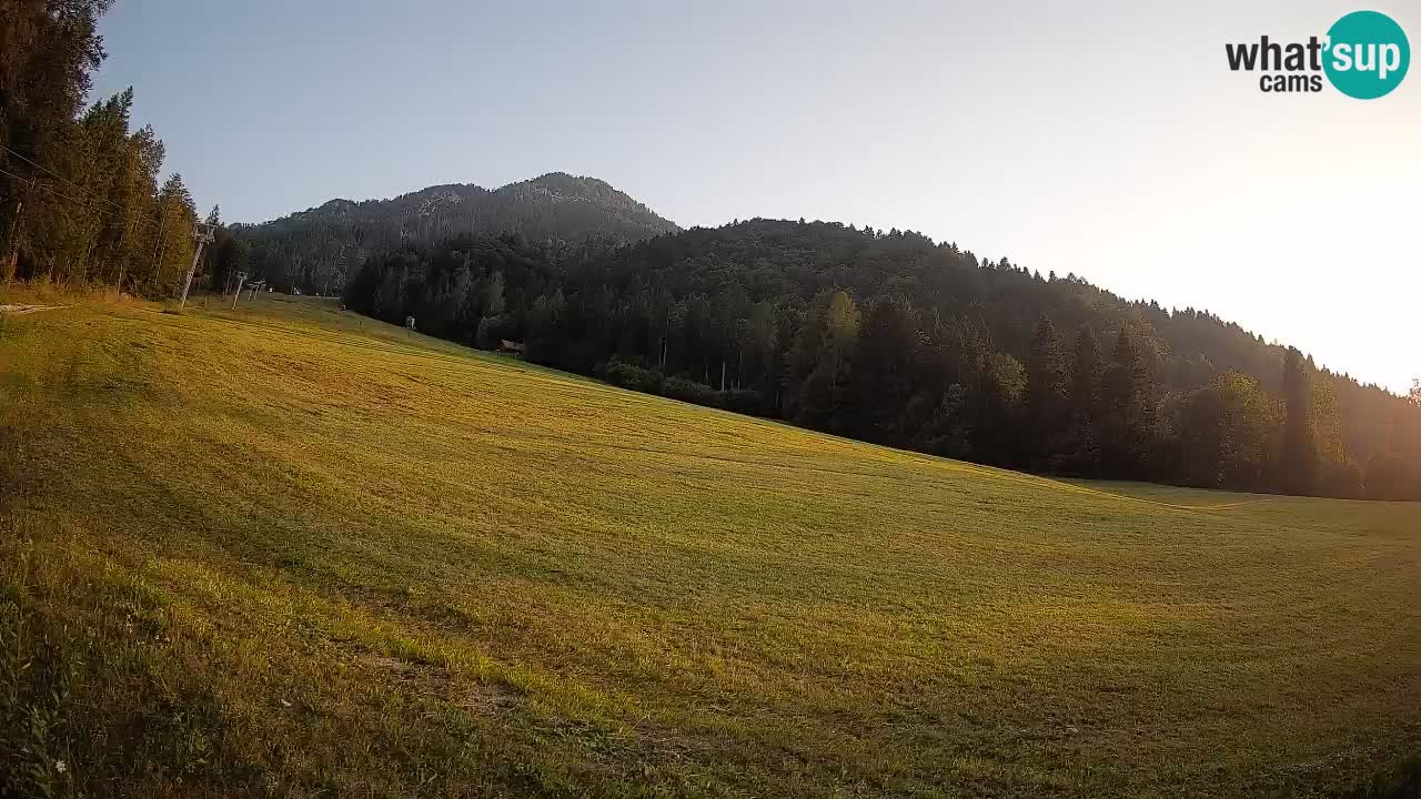 Kranjska Gora Station de ski | Brsnina
