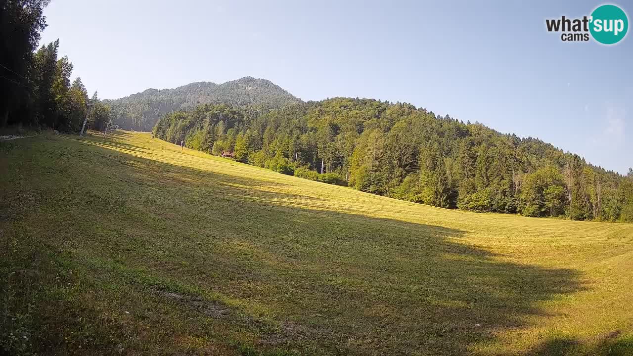 Kranjska Gora Station de ski | Brsnina