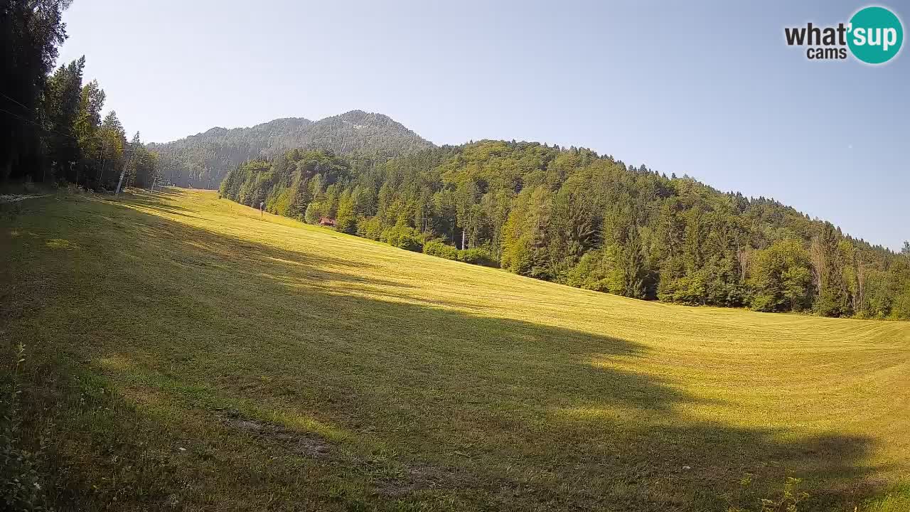 Esquí Kranjska Gora | Brsnina