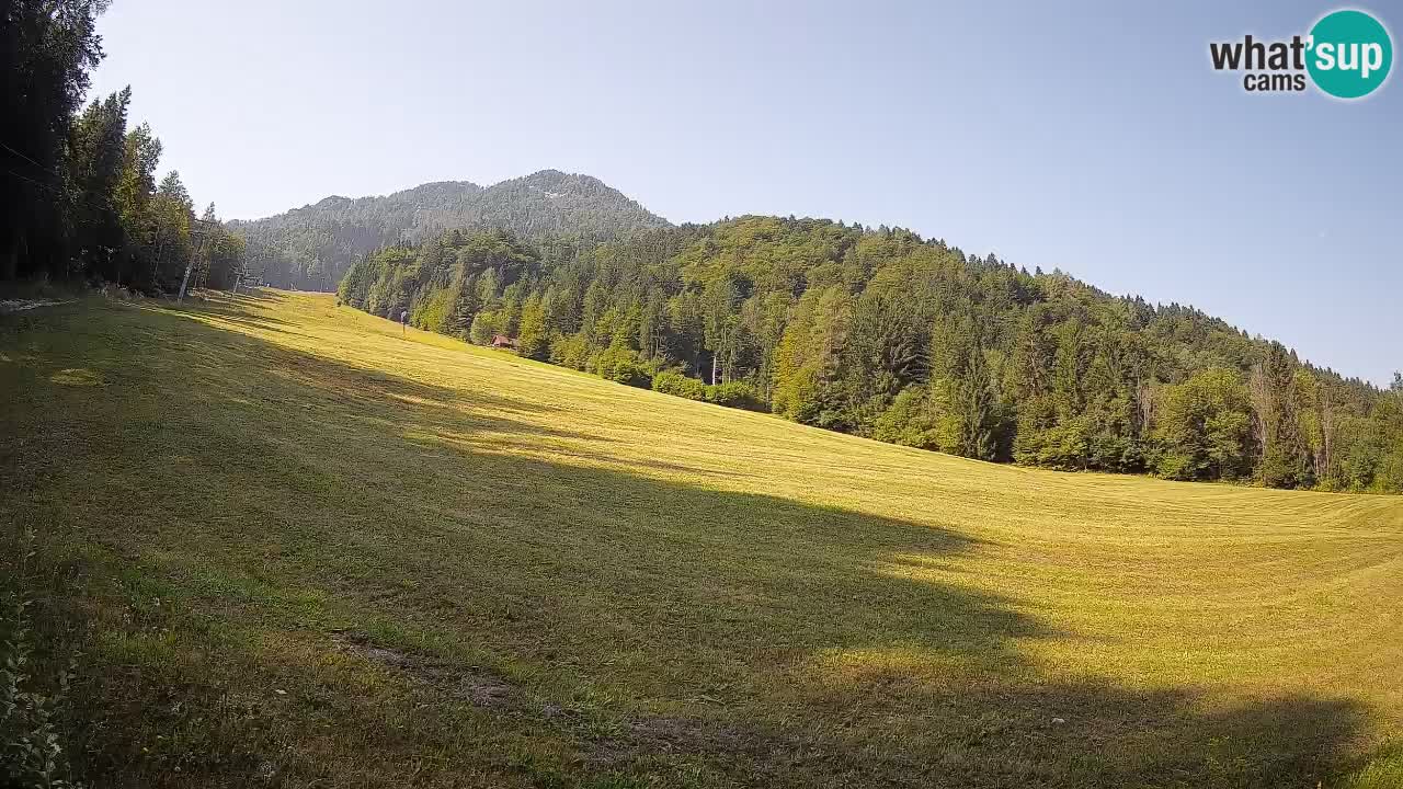 Esquí Kranjska Gora | Brsnina