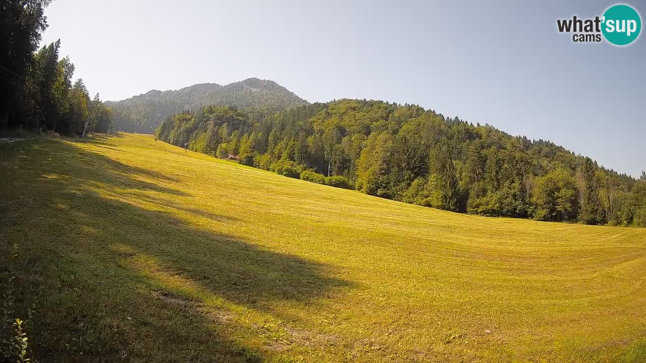 Kranjska Gora Station de ski | Brsnina