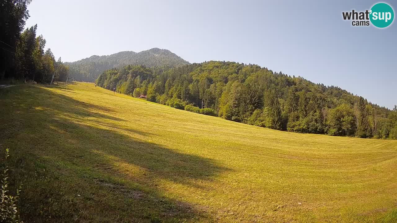 Kranjska Gora SKIJANJE | Brsnina