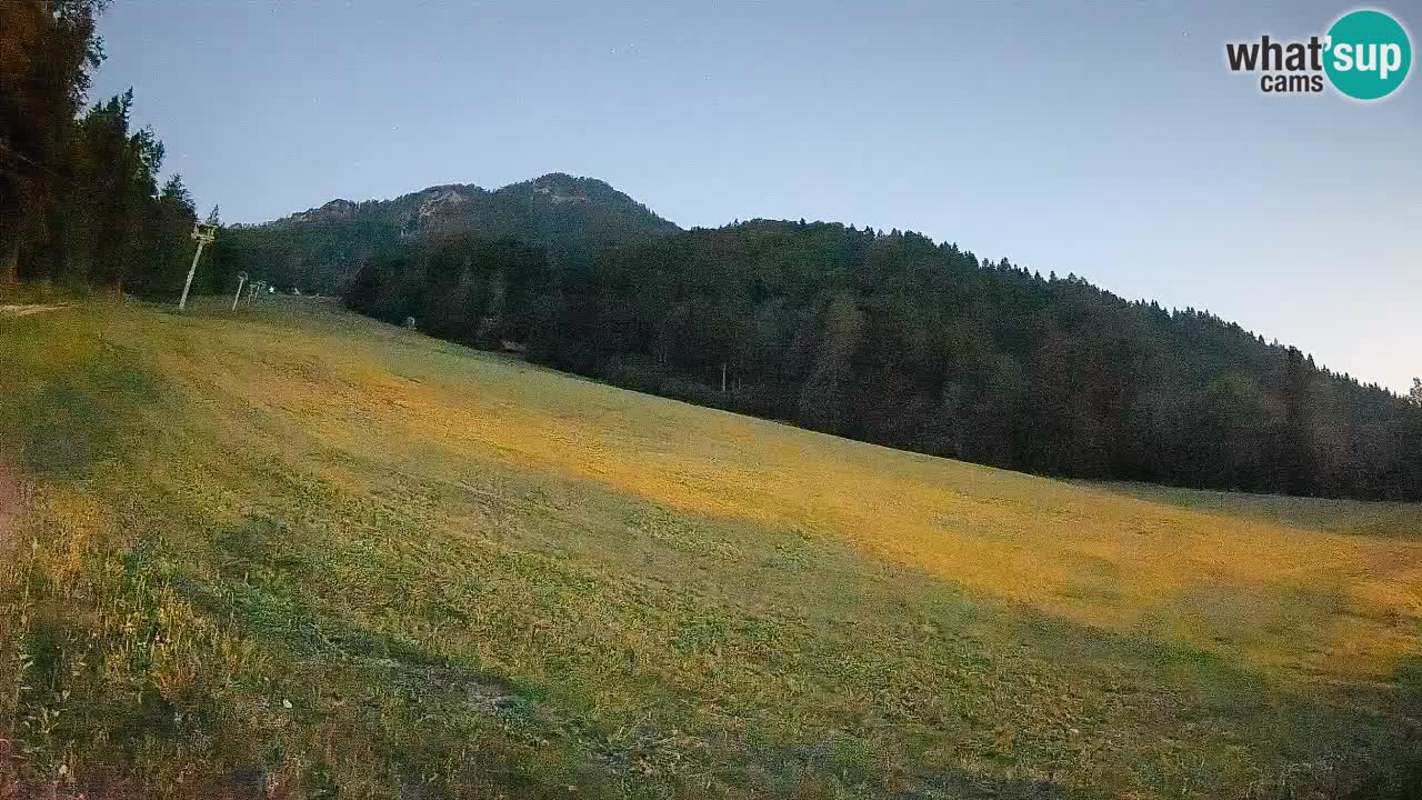 Kranjska Gora SKIJANJE | Brsnina
