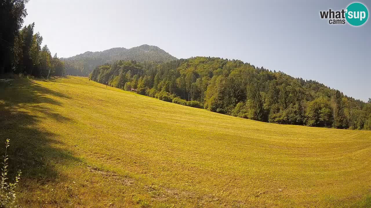 Kranjska Gora Station de ski | Brsnina