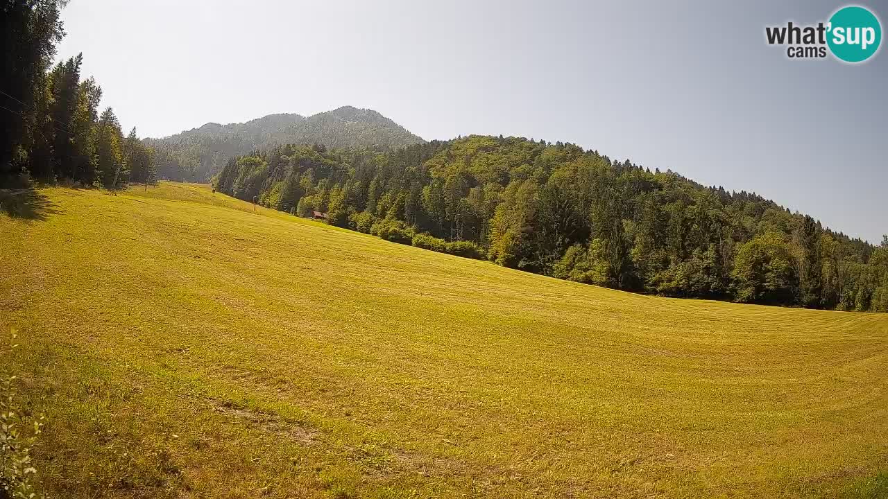 Esquí Kranjska Gora | Brsnina