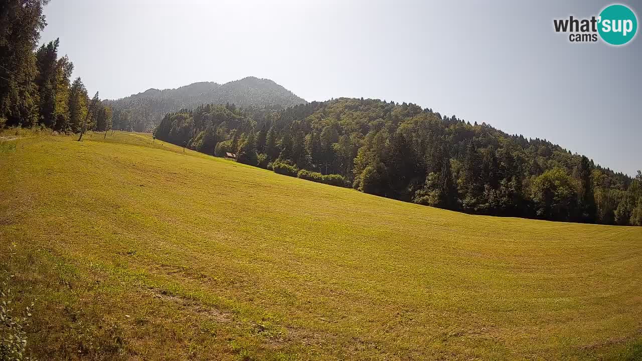 Kranjska Gora Station de ski | Brsnina