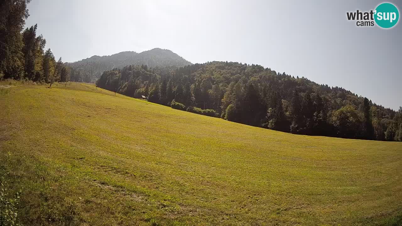 Kranjska Gora Station de ski | Brsnina
