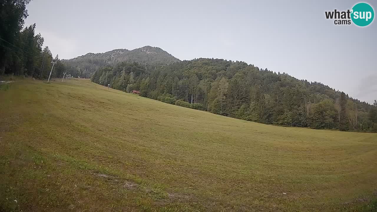 Kranjska Gora Station de ski | Brsnina