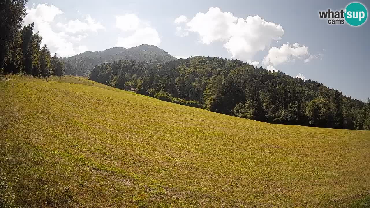 Esquí Kranjska Gora | Brsnina