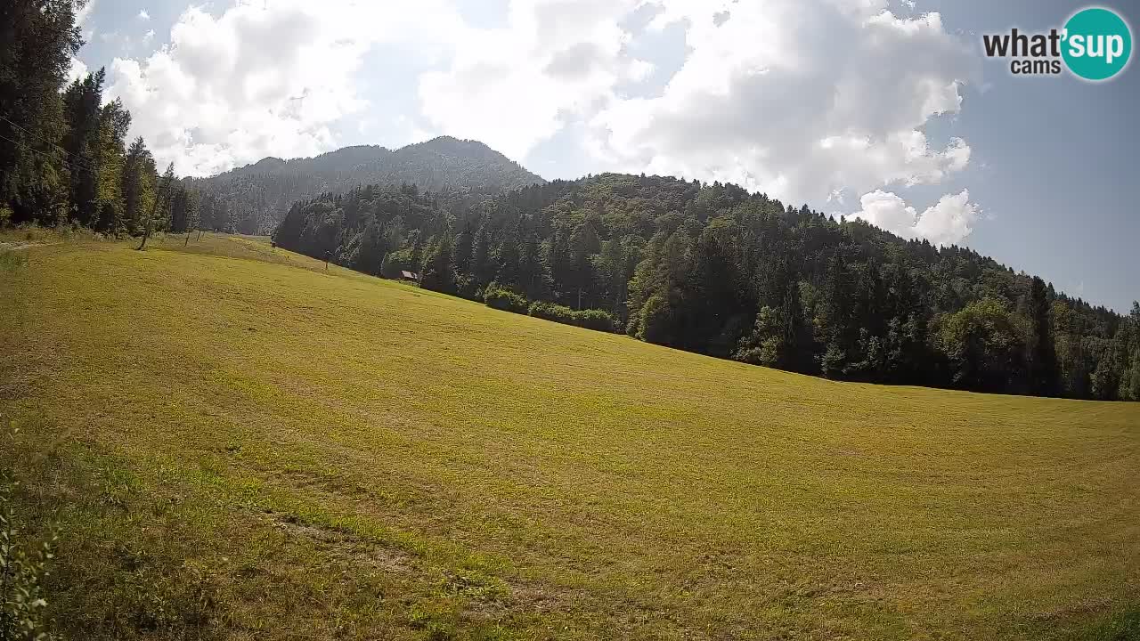 Esquí Kranjska Gora | Brsnina