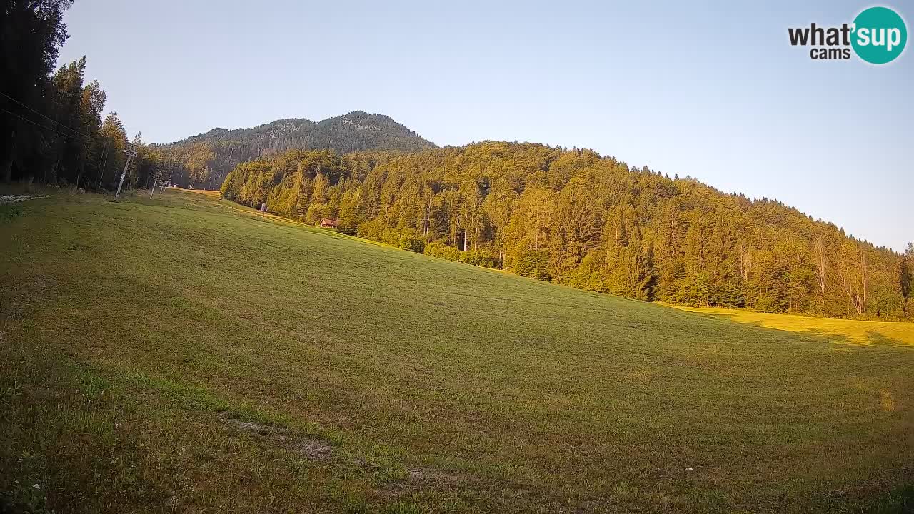 Kranjska Gora Station de ski | Brsnina