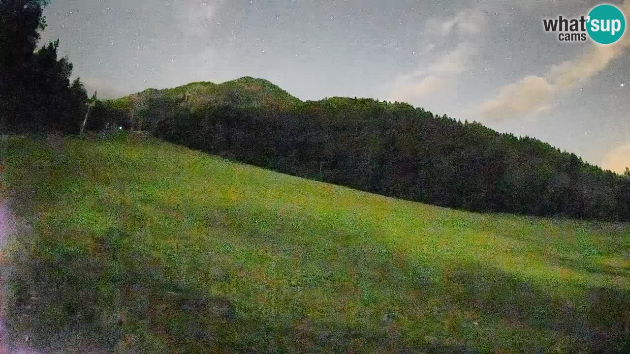 Kranjska Gora Station de ski | Brsnina