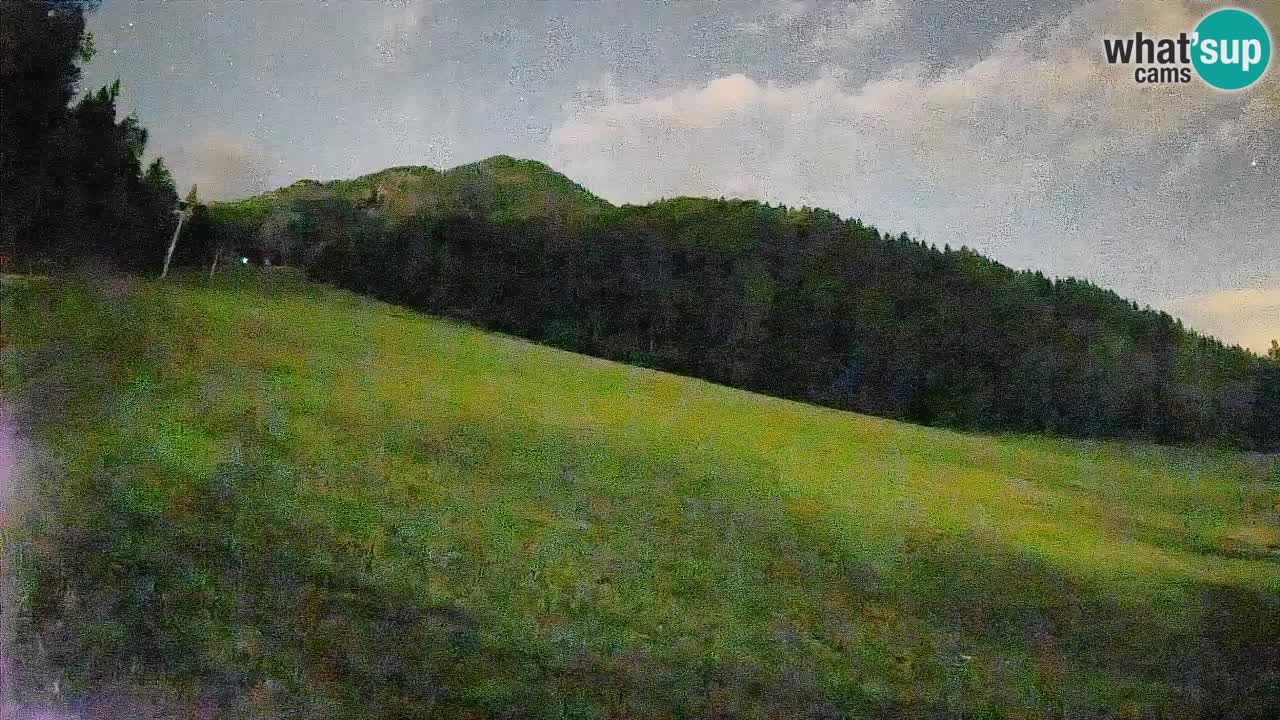 Kranjska Gora Station de ski | Brsnina