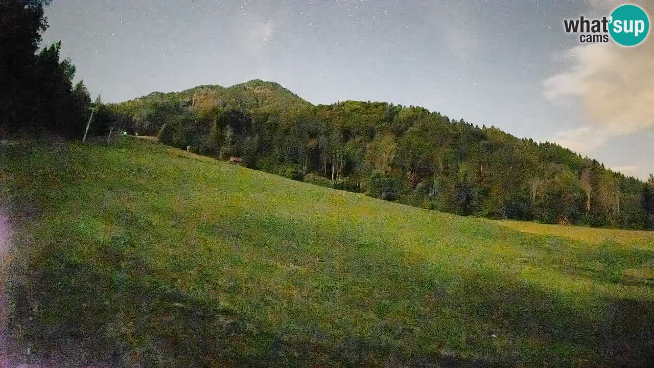 Comprensorio sciistico Kranjska Gora | Brsnina