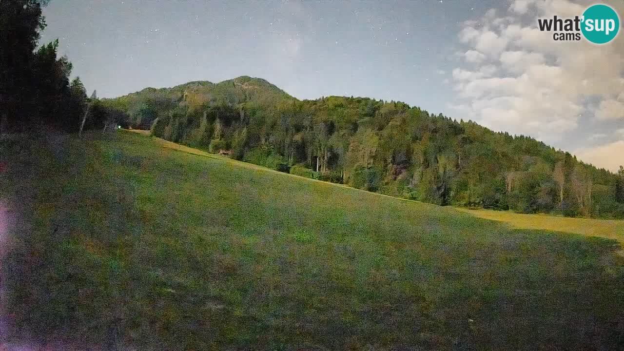 Comprensorio sciistico Kranjska Gora | Brsnina