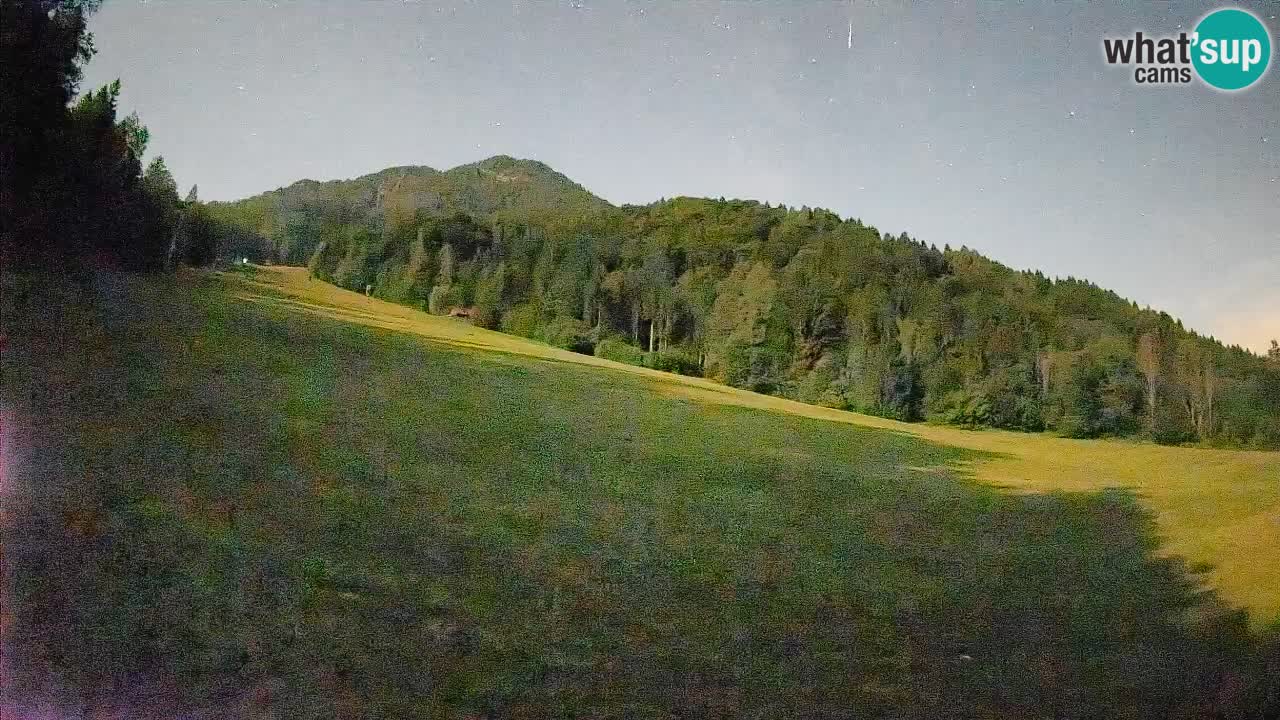 Kranjska Gora Station de ski | Brsnina
