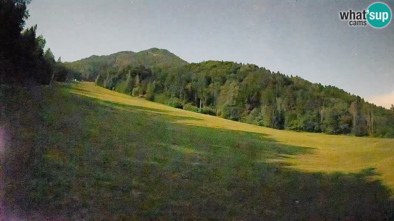 Kranjska Gora Station de ski | Brsnina