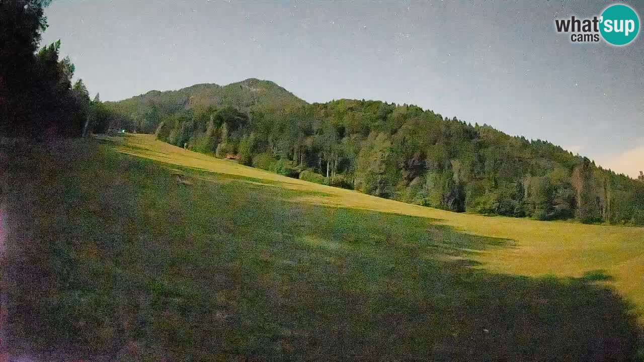 Esquí Kranjska Gora | Brsnina