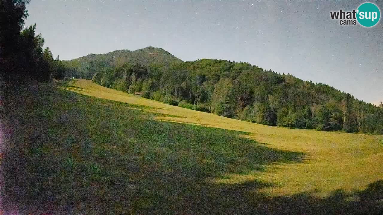 Kranjska Gora Station de ski | Brsnina
