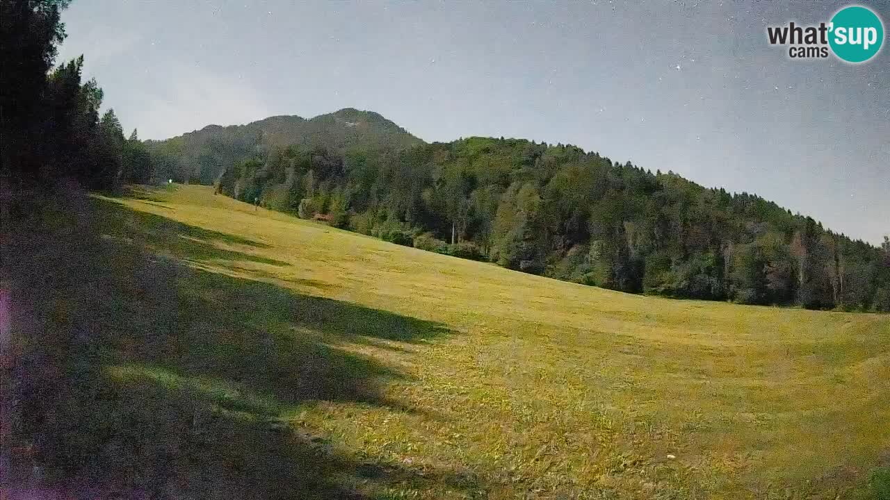 Kranjska Gora Station de ski | Brsnina