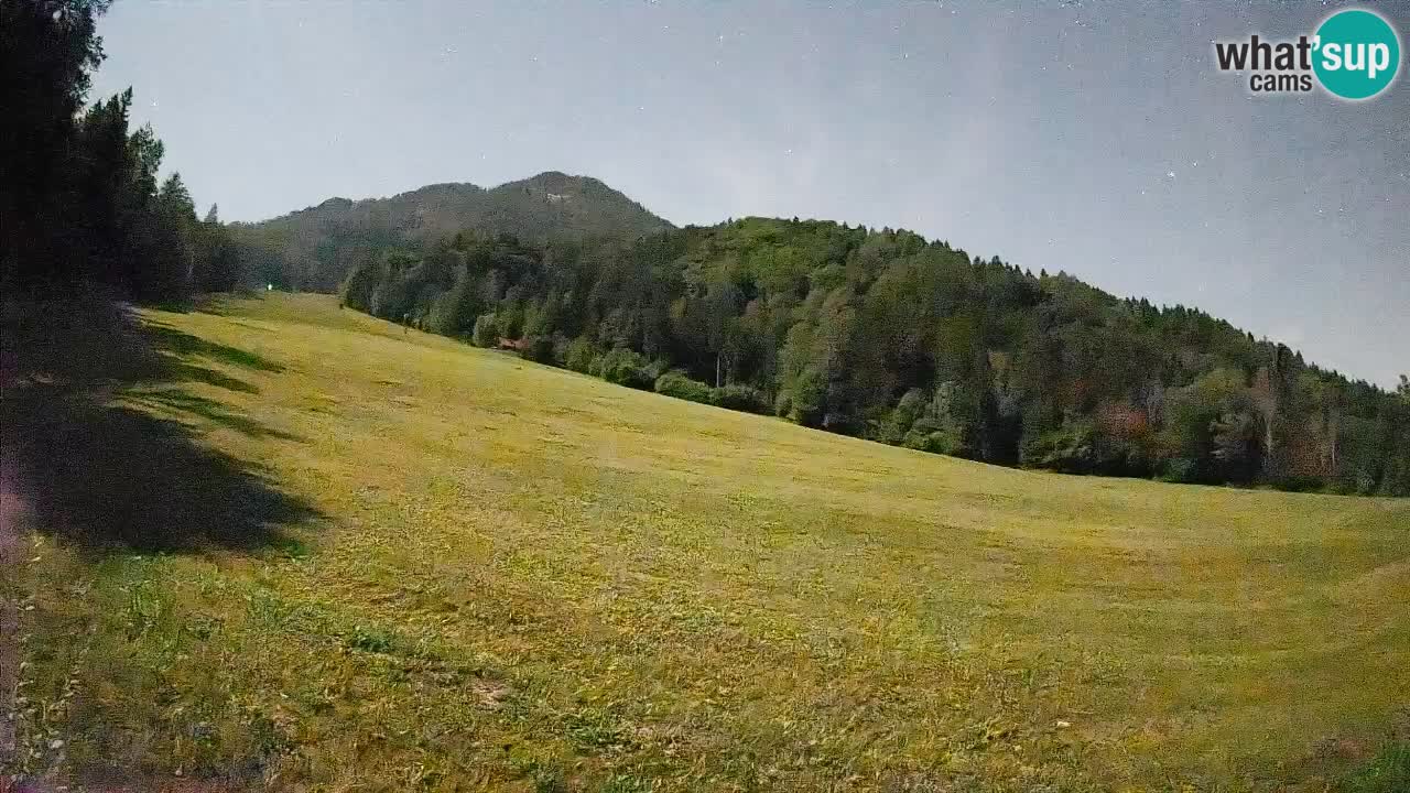 Esquí Kranjska Gora | Brsnina