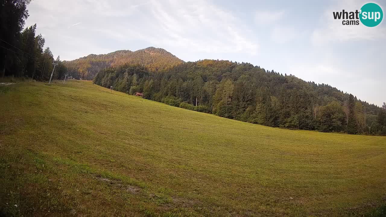 Kranjska Gora Station de ski | Brsnina