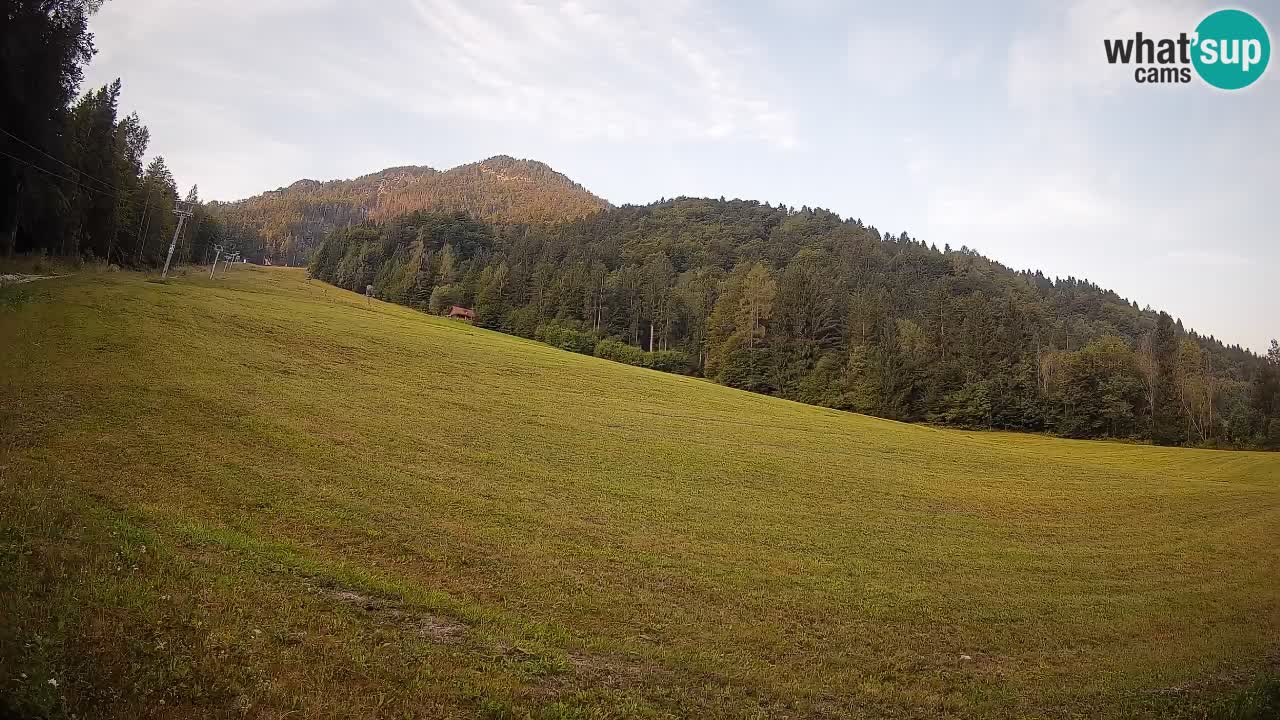 Kranjska Gora Station de ski | Brsnina