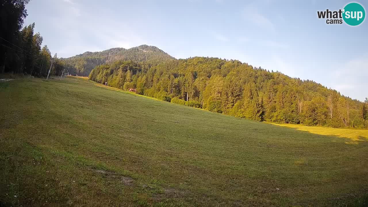 Kranjska Gora Station de ski | Brsnina