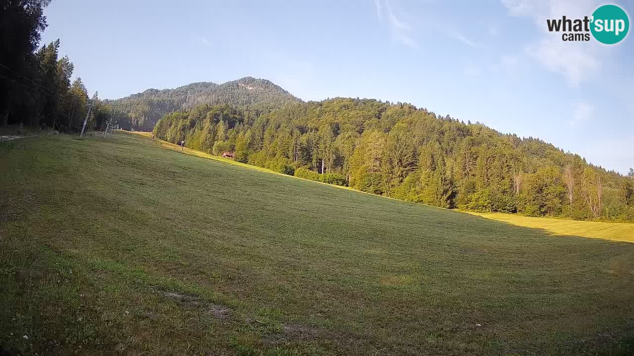 Kranjska Gora Station de ski | Brsnina