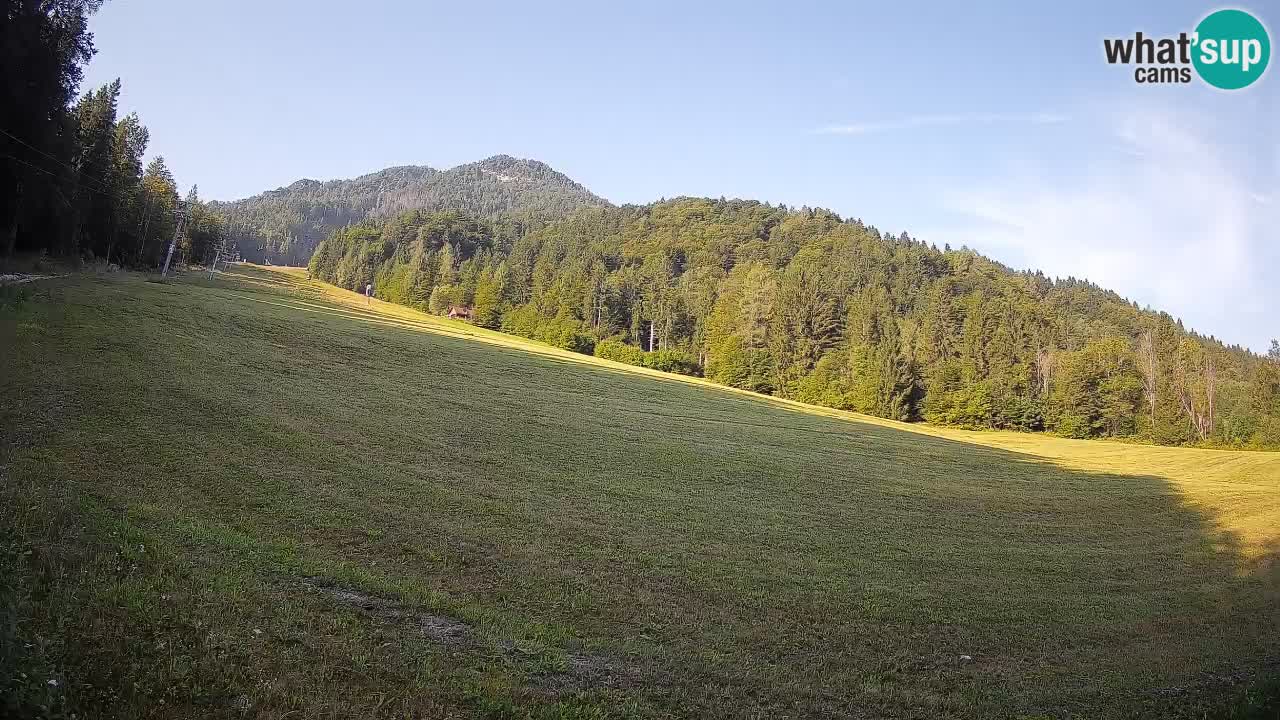 Kranjska Gora Station de ski | Brsnina