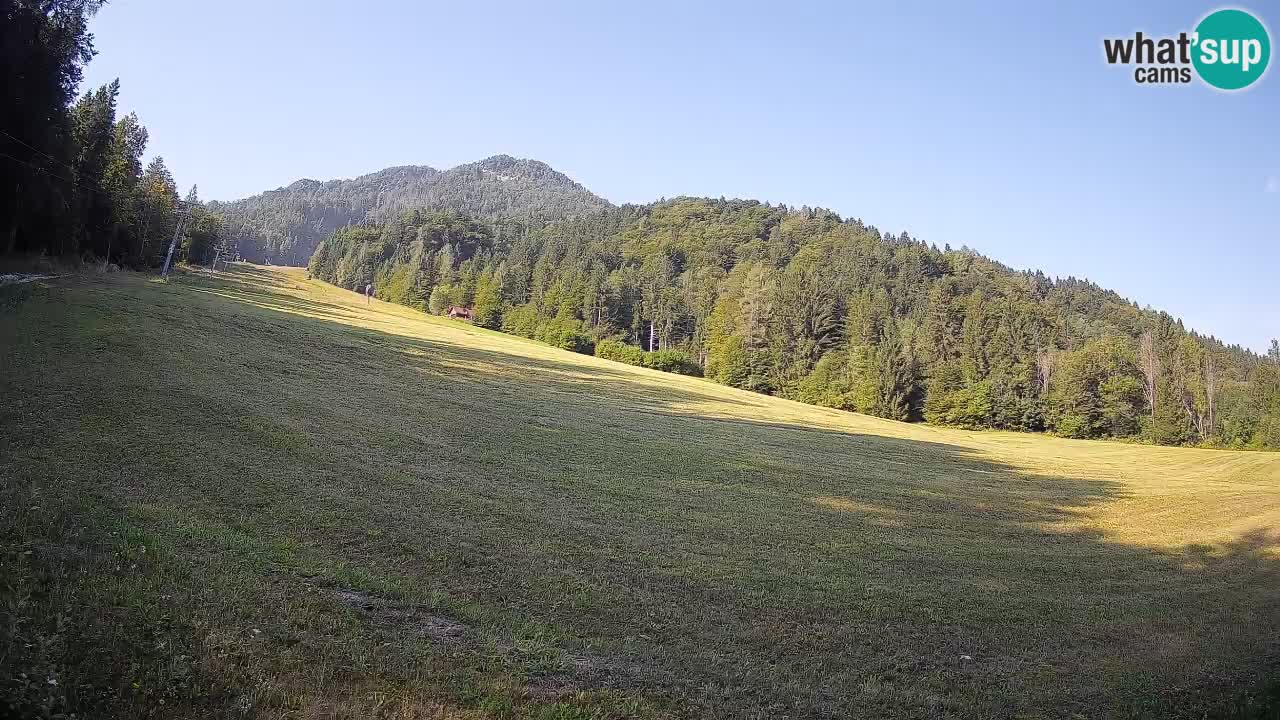 RTC Skigebiet Kranjska Gora | Brsnina