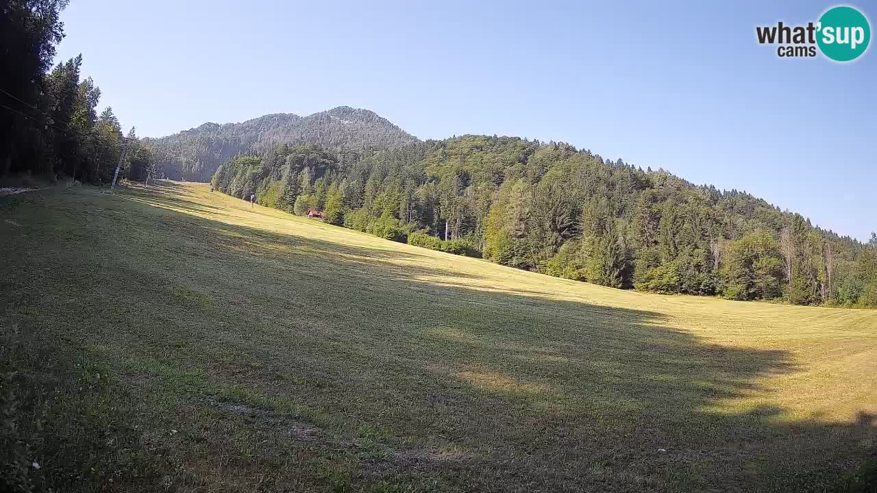 Esquí Kranjska Gora | Brsnina